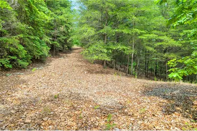 98 Sharp Mountain Parkway, Jasper, GA 30143 - Photo 19