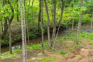 148 Brookwood Dr, Blue Ridge, GA 30513 - Photo 45