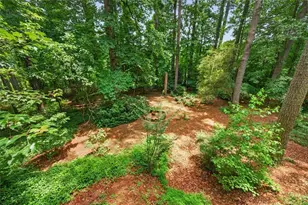 317 New Foal Ln NE, Kennesaw, GA 30144 - Photo 25