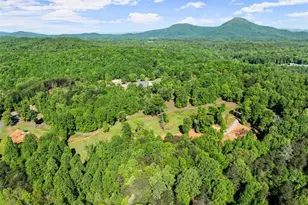 2239 Dean Mountain Rd, Cleveland, GA 30528 - Photo 5