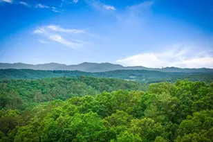 128 Ridge Brook Dr, Morganton, GA 30560 - Photo 61