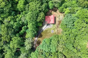 1564 Black Ankle Creek Rd, Cherry Log, GA 30522 - Photo 35
