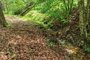 1564 Black Ankle Creek Rd, Cherry Log, GA 30522 - Photo 37