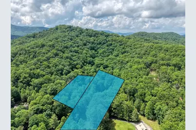 1564 Black Ankle Creek Road, Cherry Log, GA 30522 - Photo 33