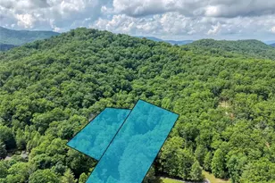 1564 Black Ankle Creek Rd, Cherry Log, GA 30522 - Photo 33