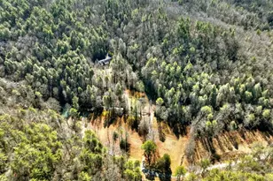 7233 Shakerag Rd, Ellijay, GA 30540 - Photo 81
