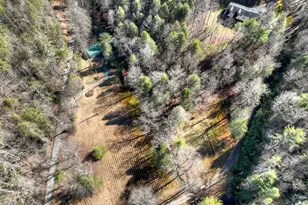 7233 Shakerag Rd, Ellijay, GA 30540 - Photo 83