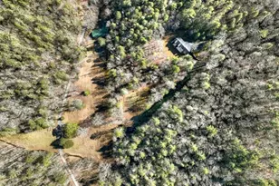 7233 Shakerag Rd, Ellijay, GA 30540 - Photo 83