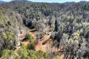 7233 Shakerag Rd, Ellijay, GA 30540 - Photo 77