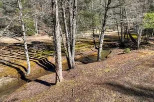 7233 Shakerag Rd, Ellijay, GA 30540 - Photo 69