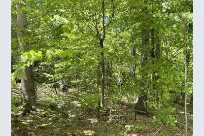 206 Northview Parkway, Ellijay, GA 30536 - Photo 53