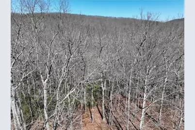 206 Northview Parkway, Ellijay, GA 30536 - Photo 15
