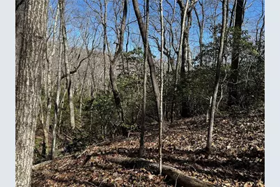 206 Northview Parkway, Ellijay, GA 30536 - Photo 27
