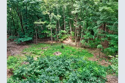 113 Lucerne Place, Sautee Nacoochee, GA 30571 - Photo 57
