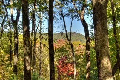9 Joanna Court, Cherrylog, GA 30513 - Photo 33