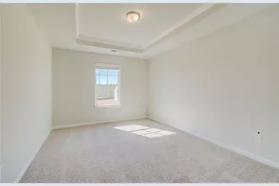 229 Ruthe Cove, Locust Grove, GA 30248 - Photo 21
