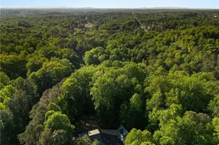 311 Woodland Brook Dr, Canton, GA 30115 - Photo 59