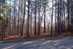 00 Tuscan Hills Rd, Franklin, GA 30127 - Photo 1