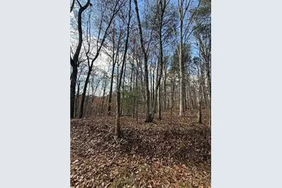 0 Orchard Road, Jasper, GA 30143 - Photo 5