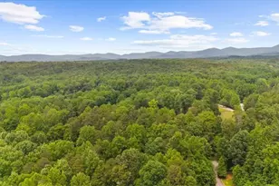 191 John Walker Rd, Dahlonega, GA 30533 - Photo 39