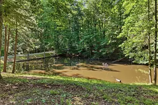 437 Twin Lakes Dr, Canton, GA 30115 - Photo 29