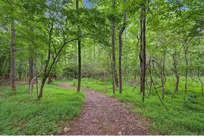 151 Preserve Parkway, Ball Ground, GA 30107 - Photo 51