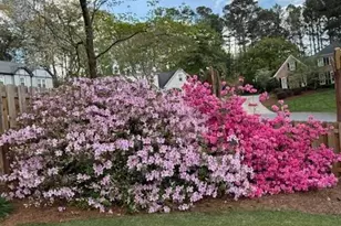 886 Marbrook Dr, Lawrenceville, GA 30044 - Photo 59