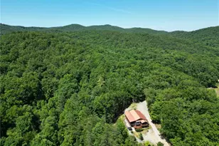 32 Ivey Ridge Rd, Suches, GA 30572 - Photo 45