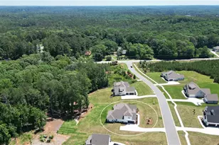 65 Starr Pl, Newnan, GA 30263 - Photo 79