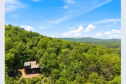 161 Huntington Way, Blue Ridge, GA 30513 - Photo 63