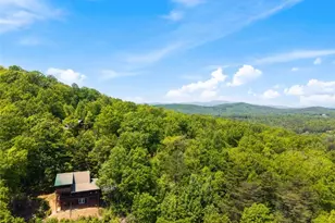 161 Huntington Way, Blue Ridge, GA 30513 - Photo 63