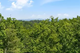 161 Huntington Way, Blue Ridge, GA 30513 - Photo 57