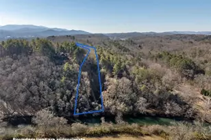 517 Ridge Rd, Blue Ridge, GA 30513 - Photo 35