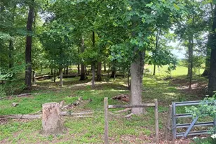 4580 Hopewell Rd, Cumming, GA 30028 - Photo 5