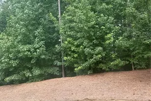154 Bellehaven Dr, Woodstock, GA 30188 - Photo 31