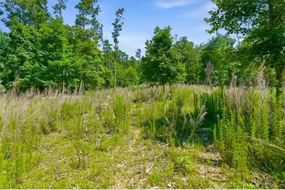 0 Williams Road SE, Silver Creek, GA 30173 - Photo 33