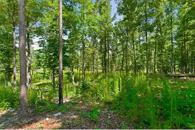 0 Williams Road SE, Silver Creek, GA 30173 - Photo 21