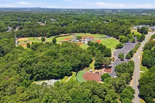 235 Piney Hill Ct, Alpharetta, GA 30022 - Photo 43