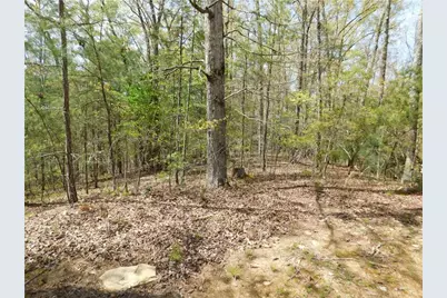 0 Dallas Lane, Blue Ridge, GA 30513 - Photo 17