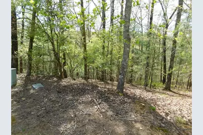 0 Dallas Lane, Blue Ridge, GA 30513 - Photo 15