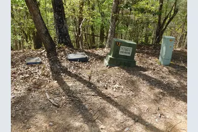 0 Dallas Lane, Blue Ridge, GA 30513 - Photo 13