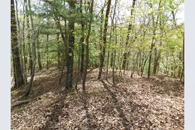 0 Dallas Lane, Blue Ridge, GA 30513 - Photo 11