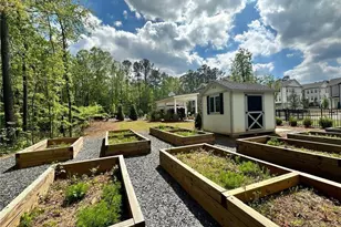 529 Clover Ln, Alpharetta, GA 30009 - Photo 13