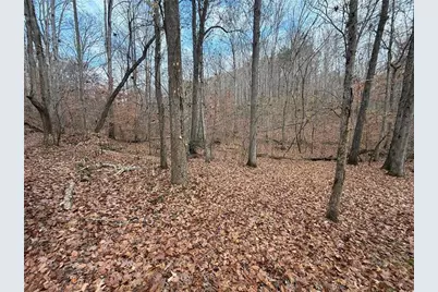 0 Falling Pines Road, Dahlonega, GA 30533 - Photo 5