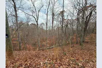 0 Falling Pines Road, Dahlonega, GA 30533 - Photo 9