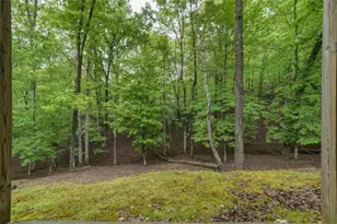 165 Pelican Dr, Ellijay, GA 30540 - Photo 39