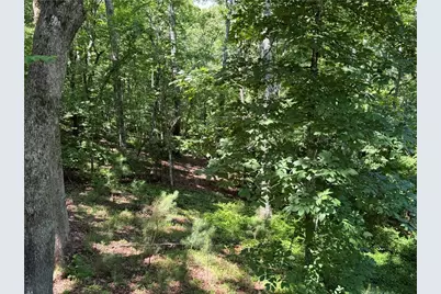 48 Spring Ridge Road NW, Kingston, GA 30145 - Photo 17