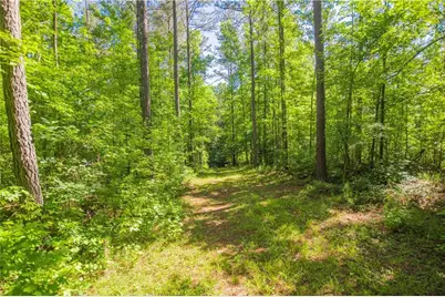 0 Weaver Jones Road, Rutledge, GA 30663 - Photo 13