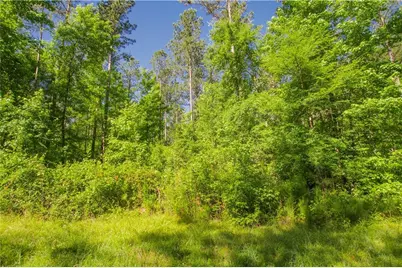 0 Weaver Jones Road, Rutledge, GA 30663 - Photo 25