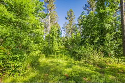 0 Weaver Jones Road, Rutledge, GA 30663 - Photo 23